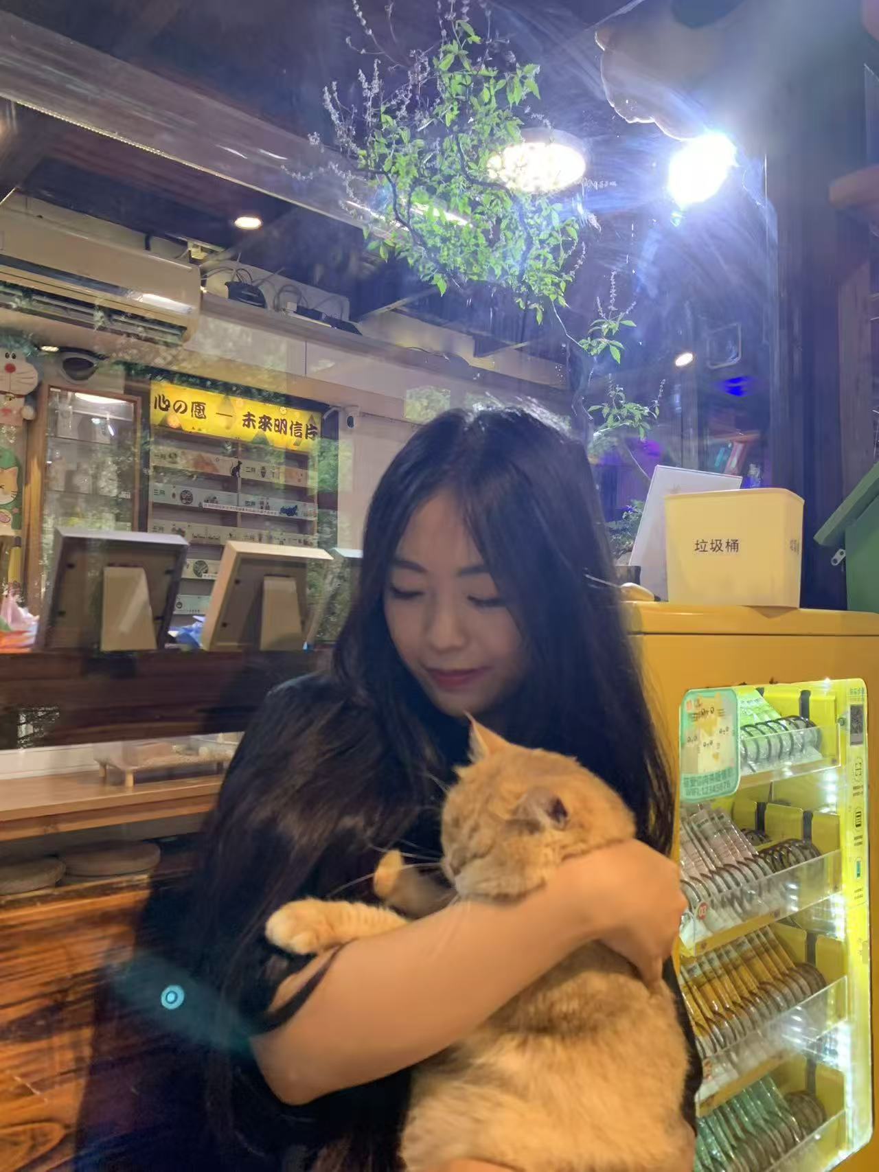 张佳怡与猫咪的生活照片